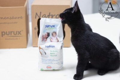 Katzen-Gerüche natürlich entfernen mit Natron