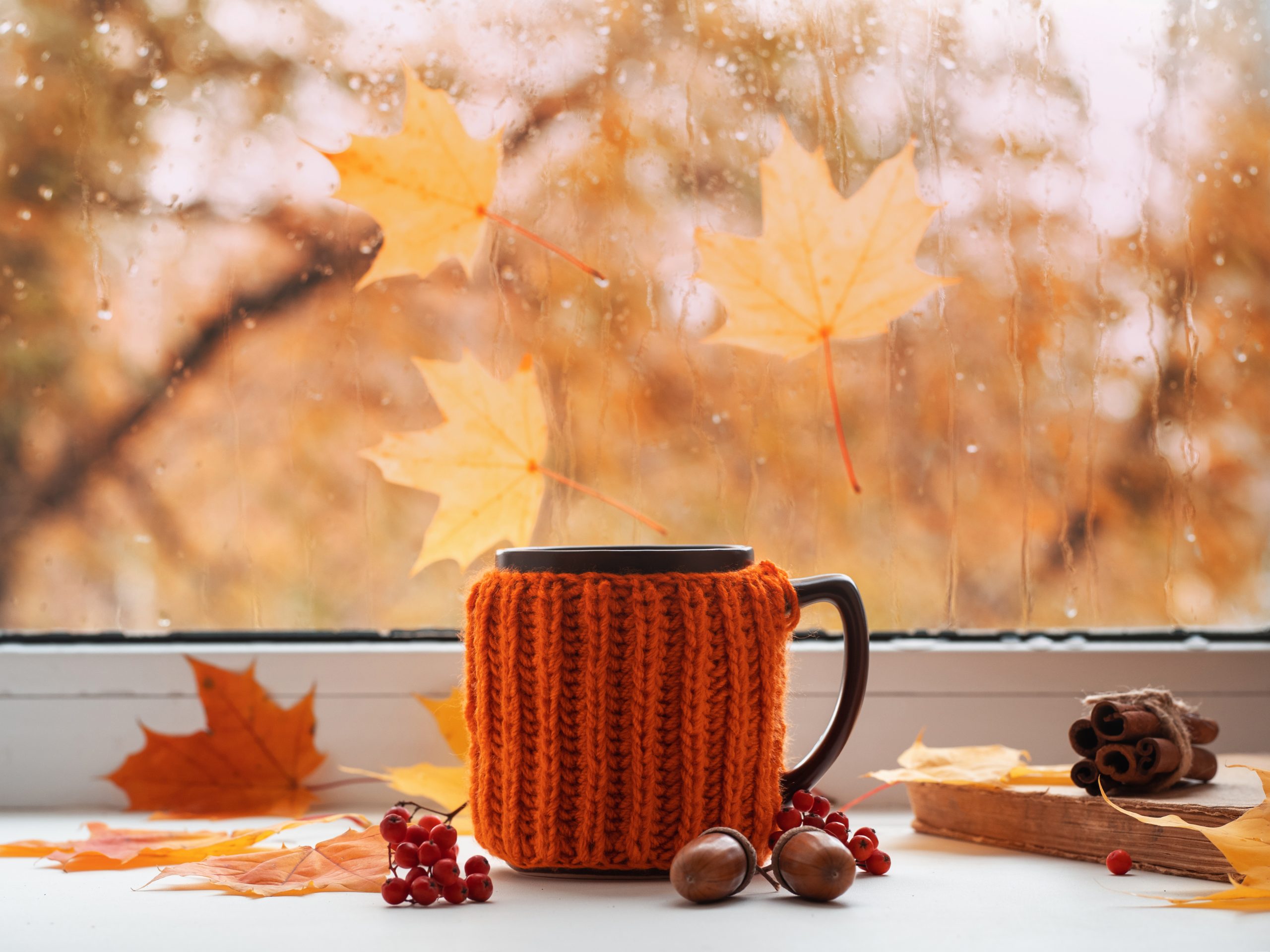 Hausmittel gegen Husten & trockene Heizungsluft – Natürlich durch den Herbst